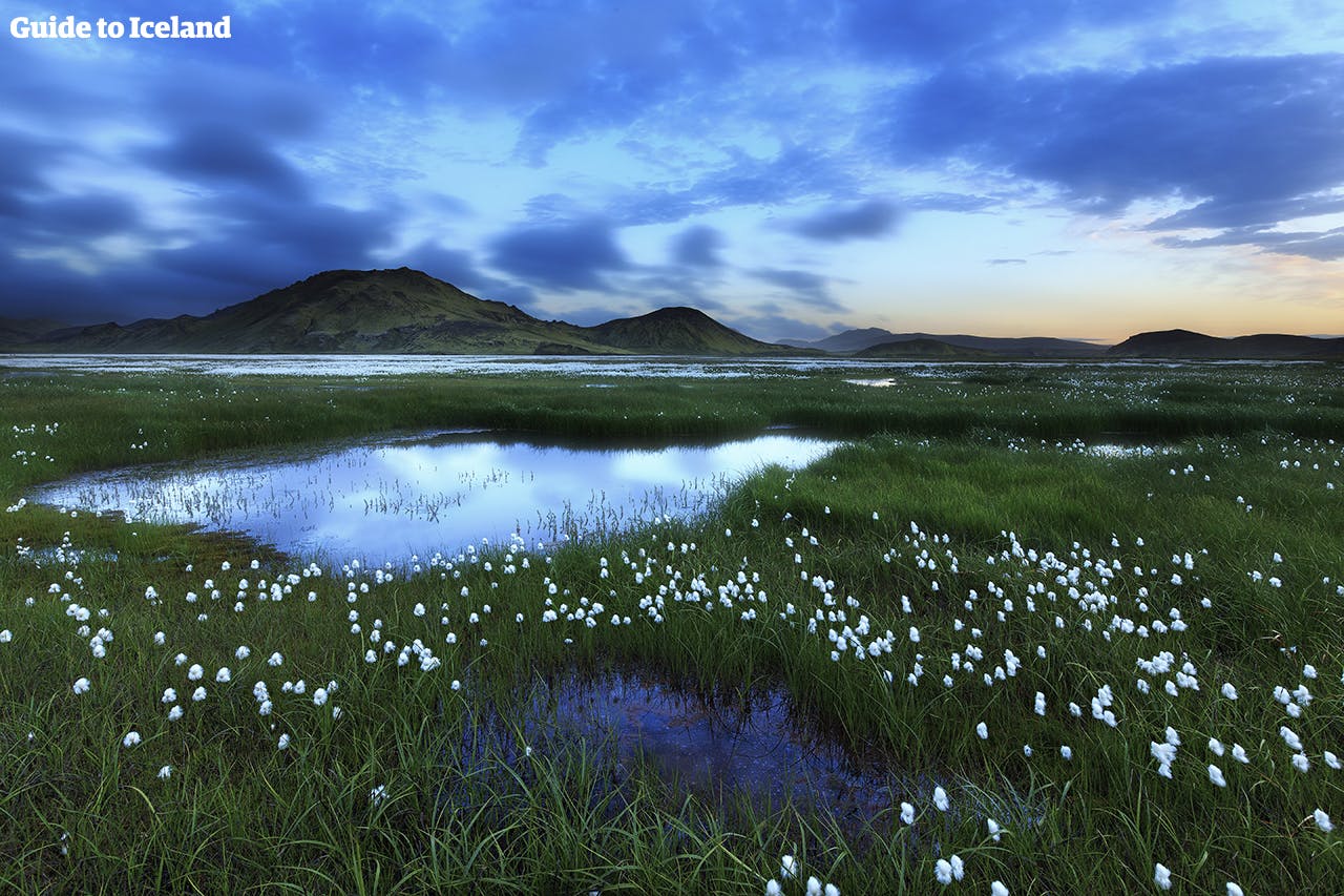 Cabins In Iceland Unique Accommodations For Your Vacation Bungalo